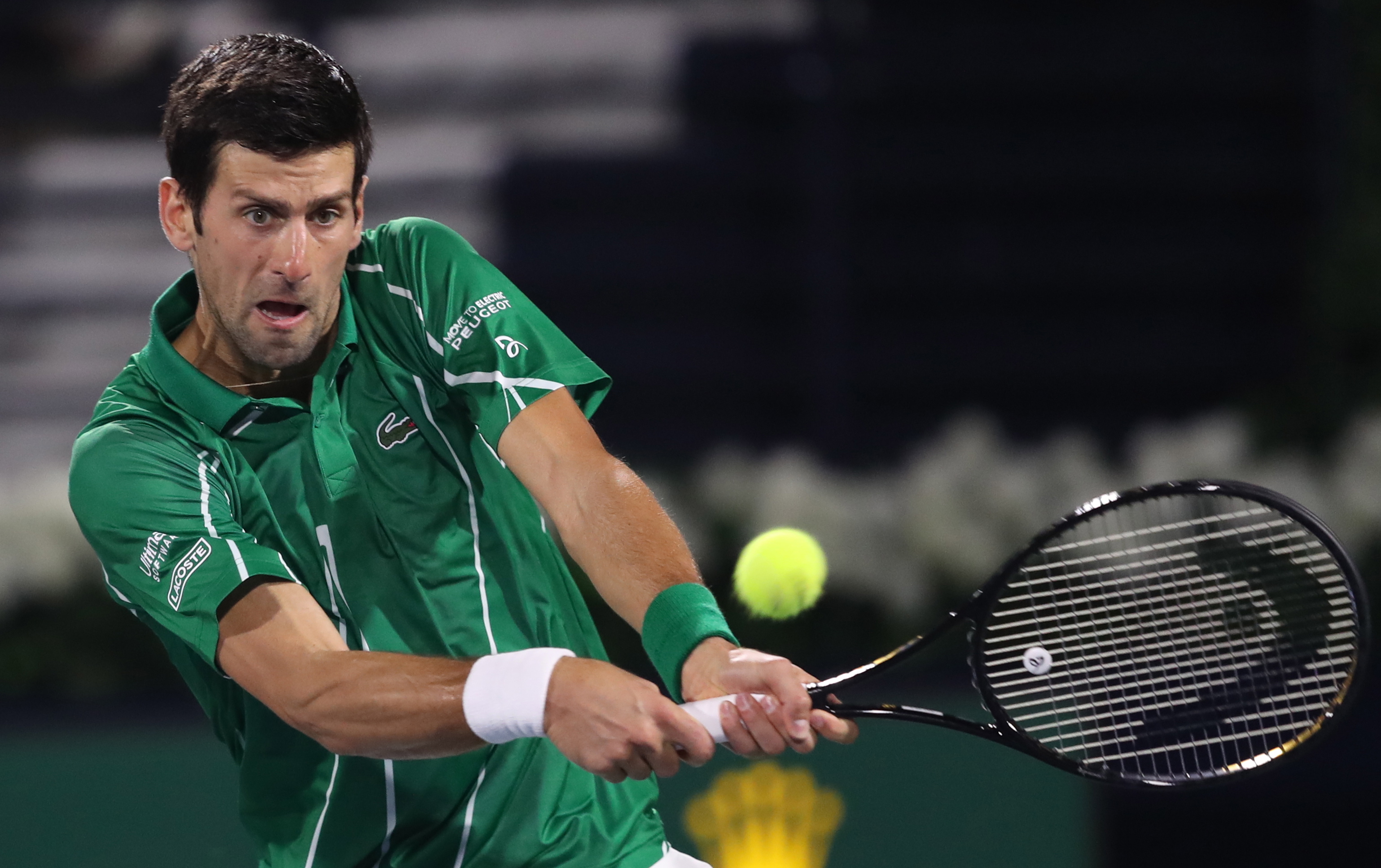 应与反压迫 应与反压迫