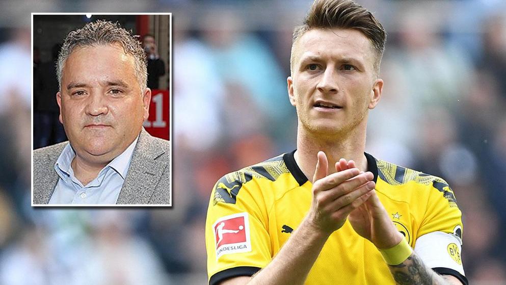 防守数据触 防守数据触